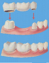 www.drstb.com