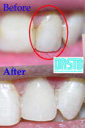 www.drstb.com
