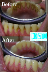 www.drstb.com